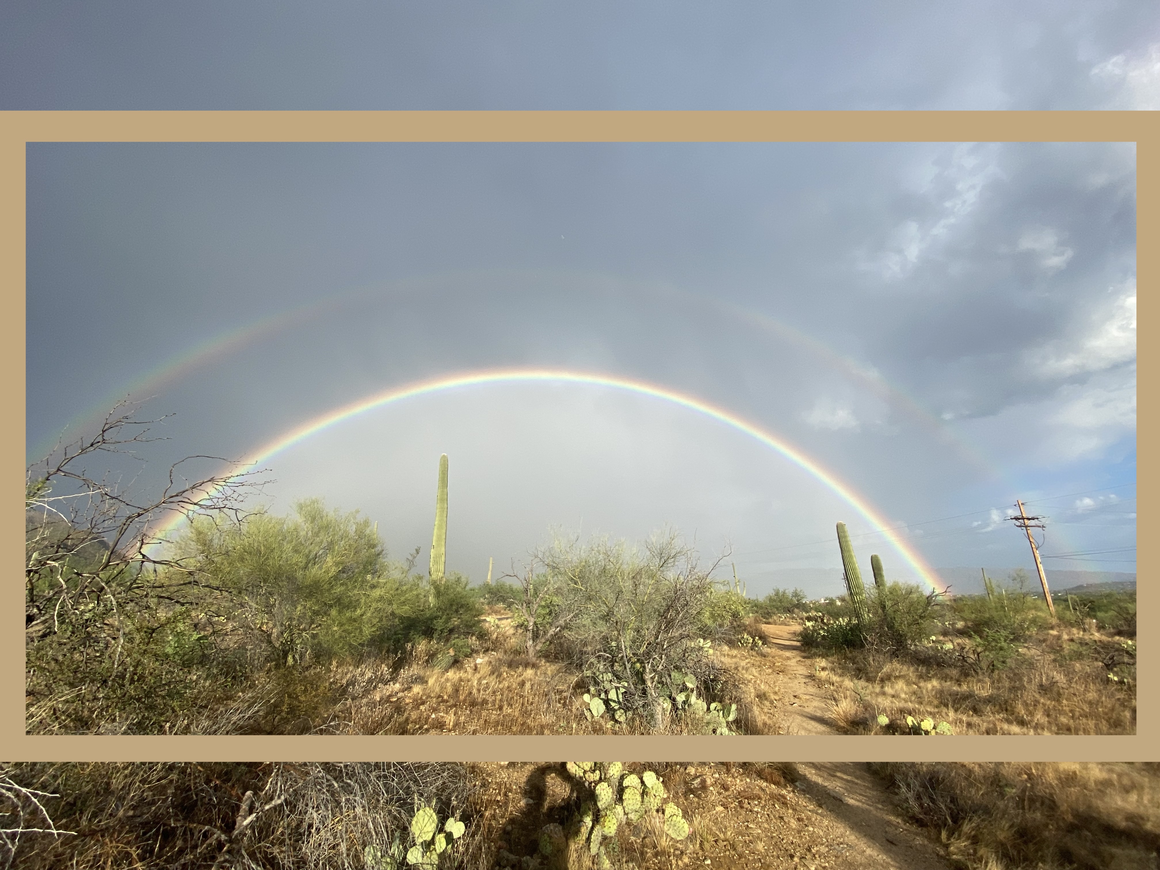 picture of tucson sky